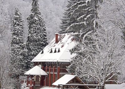 Pobjednici 2013.