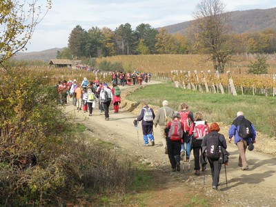 KUTJEVAČKO MARTINJE 2014.