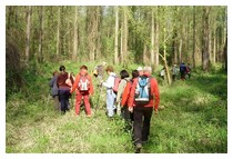 Belišćanski podravski pješački put