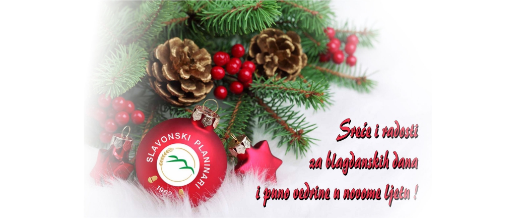 Sretan Božić i Nova 2020. godina