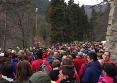 35. Papučki jaglaci [FOTO]