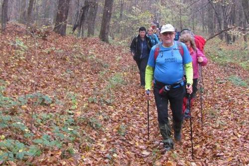 Jesen na Dilju 2015.