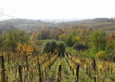 17. TRADICIONALNI PLANINARSKI IZLET UZ KUTJEVAČKO MARTINJE 2014.