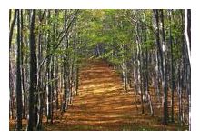 Međunarodni dan planina 2013.