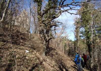 HPD Belišće: Na Papuku [FOTO]