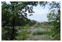 „Susret planinara pjesnika i slikara“ na Sovskom jezeru