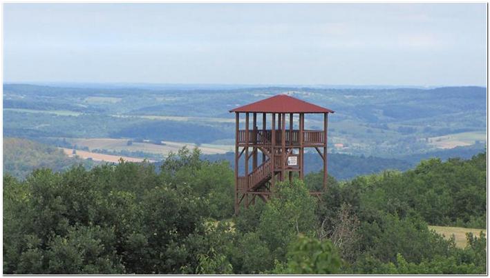 Susret planinara pjesnika i slikara na Sovskom jezeru