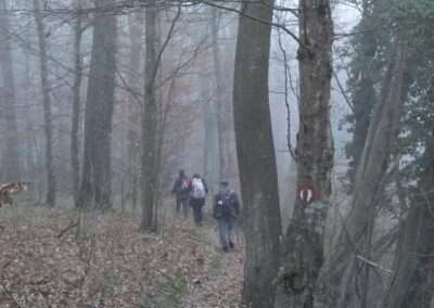 Planinarski Siječanj – HPD Belišće