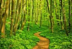 Poziv na radnu akciju